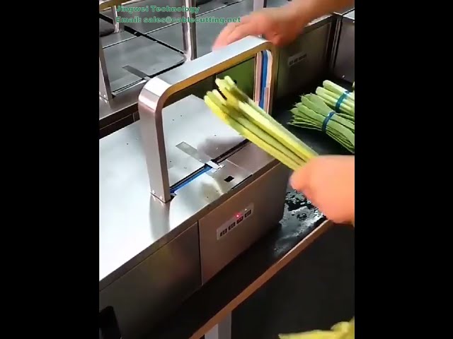 Buntes OPP Bündelband für Heißsiegel-Banderoliermaschinen – Ideal zur automatischen Gemüsebündelung