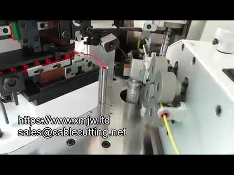 WPM-10-ly One-Head Ferrule Terminal Crimping and Tinning Machine