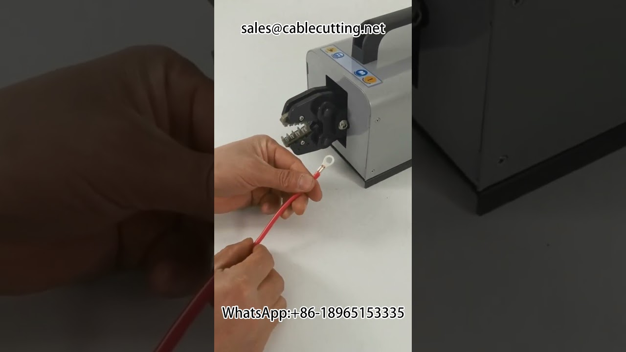 Elektrische Anschlussklemm-Crimpmaschine | Automatisierungslösung