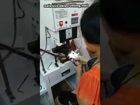 2-Pin Plug Terminal Crimping Machine for Automated Wire Processing